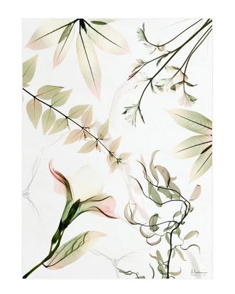 Empire Art Direct Harmony Of Existence Washable Flowers Art Area Rug