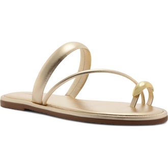 Arezzo Pamela Flat Sandal in Platino at Nordstrom, Size 6.5