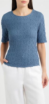 Eileen Fisher Crewneck Textured T-Shirt in Coldspring at Nordstrom, Size X-Large