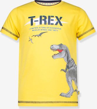 Salt And Pepper Jungen T-Shirt mit T-Rex SALT AND PEPPER gelb