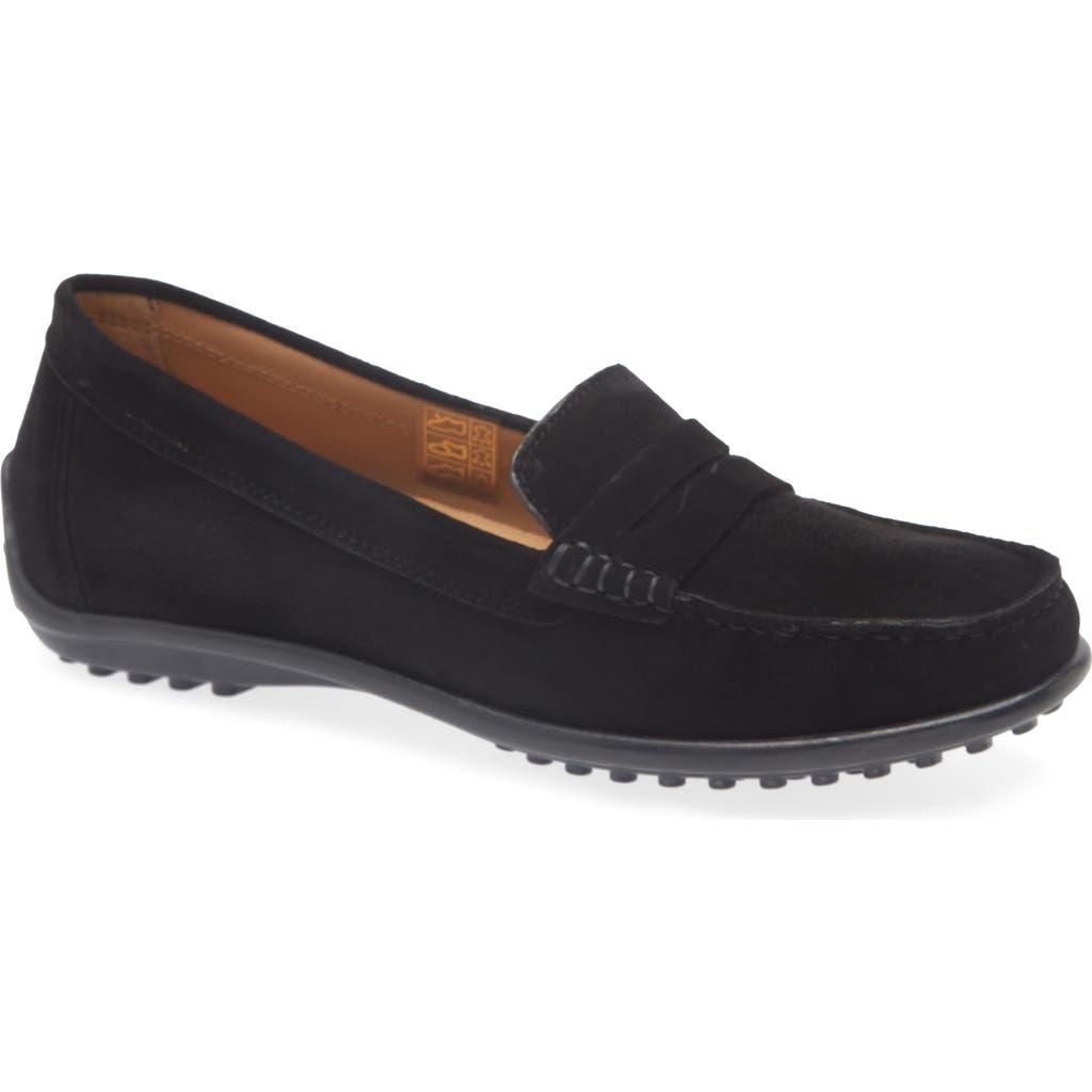 The Flexx Winter Penny Loafer in Universe at Nordstrom, Size