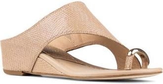 Donald J Pliner Vesna Toe Ring Wedge Sandal at Nordstrom, Size 6.5
