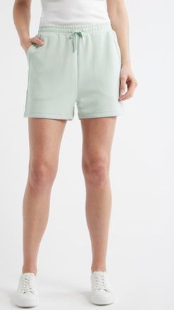 Bernardo Knit Shorts in Green at Nordstrom, Size X-Small