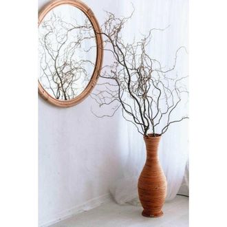 OEM Jarr&oacute;n De Rat&aacute;n Castor M