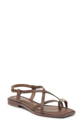Dolce Vita Idalis Toe Loop Sandal in Dark Brown Stella at Nordstrom Rack, Size 9.5
