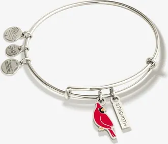 Alex and Ani Strength Cardinal Duo Charm Bangle Bracelet in Silver at Nordstrom