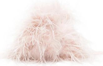 Yves Salomon Feather Clutch Bag