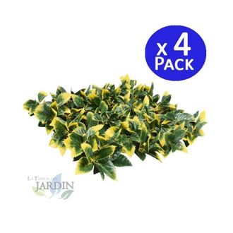 No Brand Pack 4 Jardin Vertical Laurel 50x50 Cm Planta Artificial Decoraci&atilde;&sup3;n Pared Interior Exterior Jardines Verticales