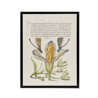 Artery8 Damselflies on Spanish Iris Calligraphy Framed Canvas Wall Art Print in Beige | Size: W24 x H32