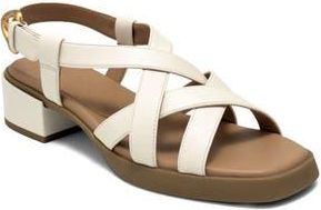 Aerosoles Daily FX Slingback Sandal in Eggnog at Nordstrom Rack, Size 6.5