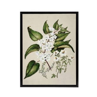 Artery8 Hibiscus & Saltmarsh Ribbonwood Flowers Featon Framed Canvas Art in Beige | Size: W24 x H32