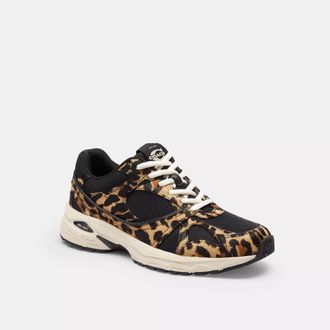 Coach Sport Sneaker With Leopard Print