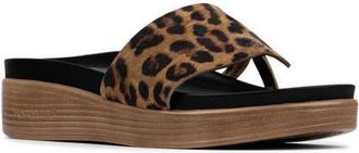 Donald J Pliner Fifi Sandal in Leopard at Nordstrom, Size 9.5