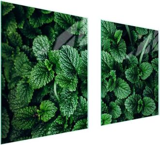 OEM Placa Protectora De Vidrio Para Estufa 85x52 Melisa