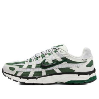 Nike (WMNS) Nike P-6000 Fir HF5388-100