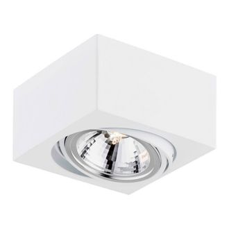 Netlighting Rodos Single Surface Mounted Downlight White Structure