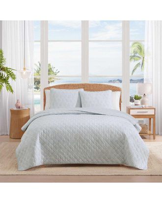 Tommy Bahama Line Palms Cotton Quilt Set