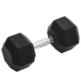 vidaXL Mancuerna Hierro Fundido 27,5 Kg Vidaxl