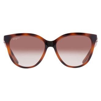 Ferragamo Brown Gradient Cat Eye Ladies Sunglasses SF1056S 240 57