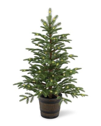 National Tree Company 4ft Feel-Real Norwegian Spruce Entrance Tree with 100 Clear Lights