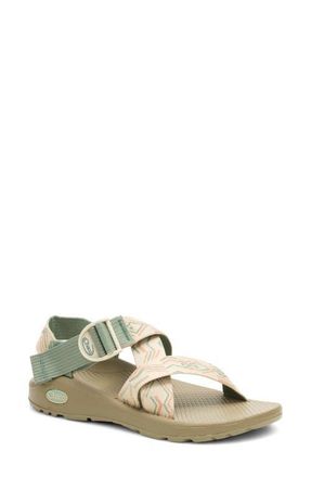 Chaco Mega Z Cloud Sandal in Paddle Sage at Nordstrom, Size 10
