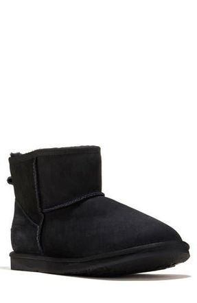 Australia Luxe Cosy Genuine Shearling Extra Short Bootie in Black at Nordstrom Rack, Size 11