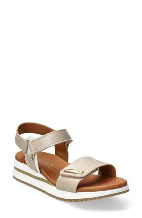 Mephisto Jeanie Ankle Strap Sandal in Beige at Nordstrom, Size 8