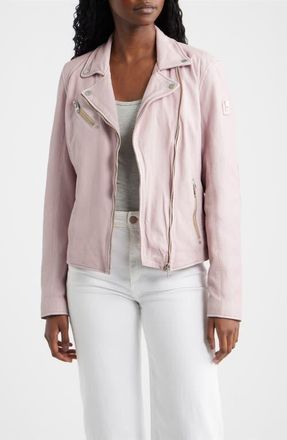 Mauritius Sofia Lambskin Moto Jacket in Hibiscus Pink at Nordstrom, Size 15