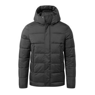 Craghoppers Mens Padded Winter Jacket (Black) - Size X-Small