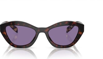 Prada 0pr A02s Bold Cat-Eye Sunglasses