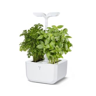 V&eacute;ritable Exky Classic Indoor Garden, Artic White