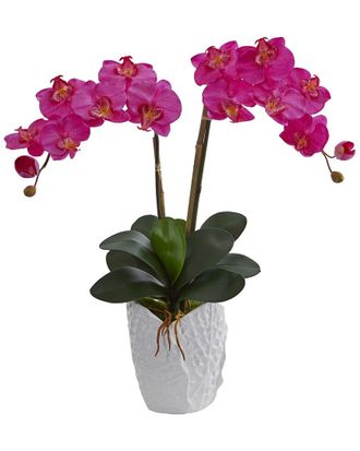 Nearly Natural Discontinued/Inactive Nearly Natural Double Phalaenopsis Orchid Artificial Arrangement In White Ceramic Vase