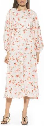Alexia Admor Constance Fit & Flare Dress in Blush Floral at Nordstrom Rack, Size 12