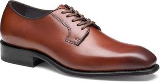 Johnston & Murphy Ashton Plain Toe Derby in Brown Full Grain at Nordstrom, Size 10.5