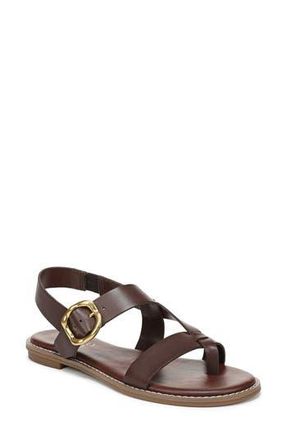 Franco Sarto Grania Sandal in Coffee Bean at Nordstrom Rack, Size 7.5
