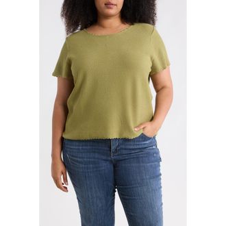 Adrianna Papell Short Sleeve Sweater in Green Oasis at Nordstrom Rack, Size 1X