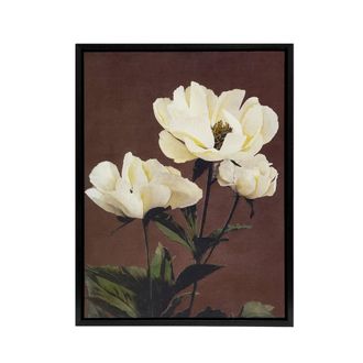 Artery8 White Herbaceous Peony Flowers Framed Canvas Wall Art Print Kazumasa in Red | Size: W24 x H32