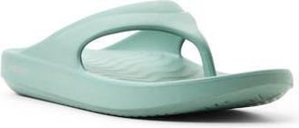 Sperry Top-Sider Flow Flip Flop in Light Green at Nordstrom Rack, Size 10