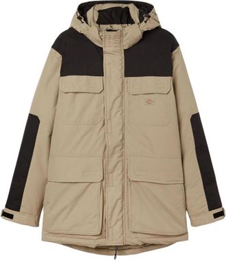 Dickies Glacier View Expeditie Jas - Heren - Winterjassen - Beige - XL - Nylon - Jassen