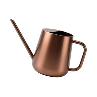 OEM Regadera Para Plantas De Interior, 1000 Ml, En Acero-bronce