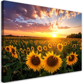 Feeby Cuadro En Lienzo, Campo De Girasoles Puesta De Sol, 120x80