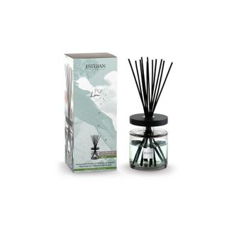 Esteban Paris Parfums Bouquet Profumato Ellipse Pur Lin 500ml Esteban Paris Diffusore