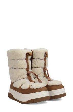 Pajar Janie Hi Waterproof Insulated Boot in Tan at Nordstrom, Size 8.5
