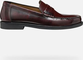 Geox Scarpe Recanati Uomo Bordeaux