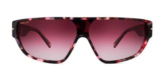 Polar GOLD PRYDZ 408 Mens Sunglasses Tortoiseshell Size 141