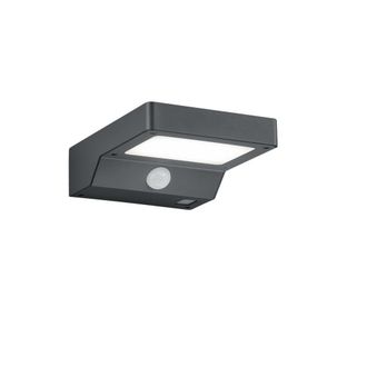 Reality La Luz De La Pared De Fomosa Llev&oacute; La Antracita Ip44 Con La Iluminaci&oacute;n Del Tr&iacute;o Del Sensor De Movimiento De La Energ&iacute;a Solar