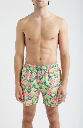 Boardies Citrus Disco Print Swim Trunks in Multi at Nordstrom, Size Xx-Large