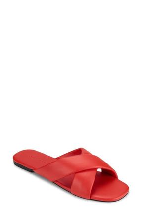 Yosi Samra Delancey Slide Sandal in Red at Nordstrom, Size 11