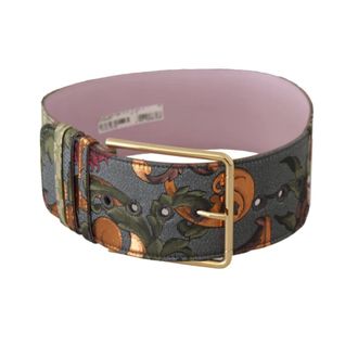 Dolce & Gabbana Belts, female, Multicolor, Size: ONE SIZE Multicolor Canvas and Leather Belt