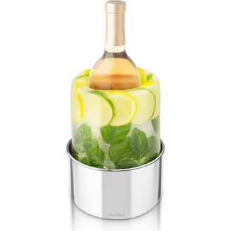 Final Touch Stainless Steel Ice Bottle Chiller in Silver at Nordstrom